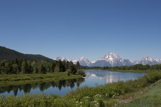 mountains river forest landscape